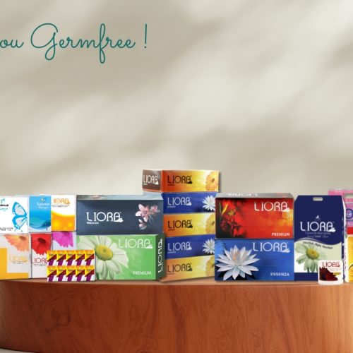 The Essential Role of Tissues in Daily Hygiene andHealth